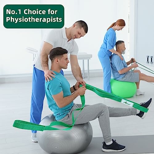 Physiotherapists assisting patients with exercise balls and resistance bands.