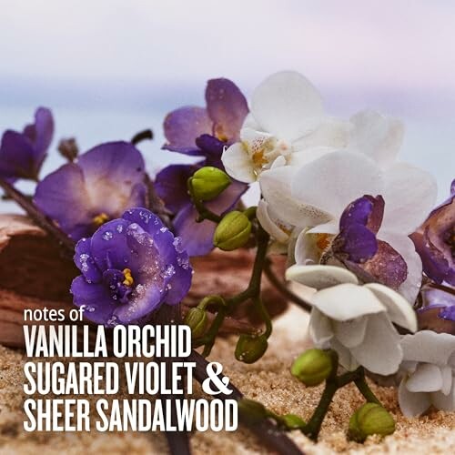 Orchids and violets on sand with text about fragrance notes
